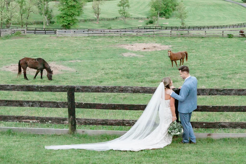 Danielle & Brendan overview 1